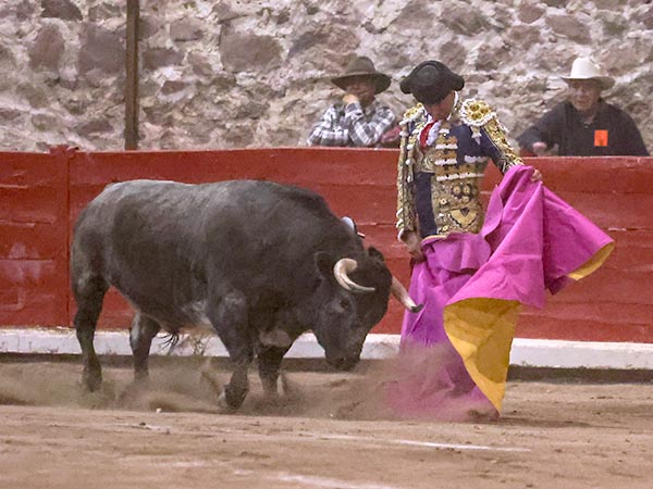 Lances de Luis Gallardo