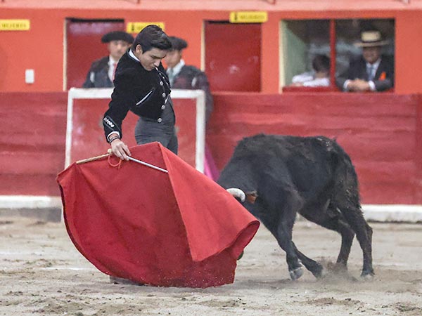 Tirando del eral