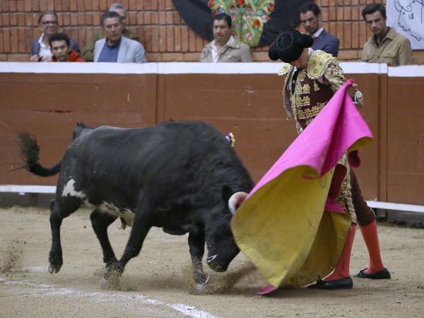 Bajo la mirada de su mentor