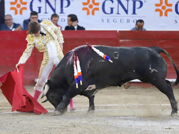 Plantado en la arena