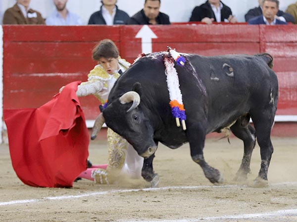 Valiente y variado