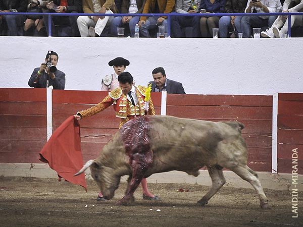 Leos, sin suerte en el sorteo