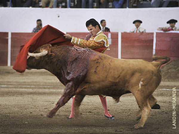 Barriendo los lomos