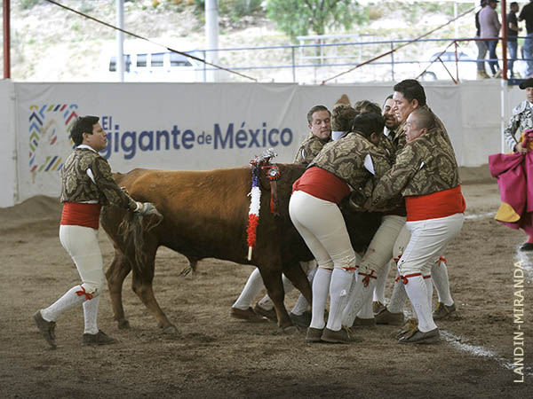 Pega consumada a la primera