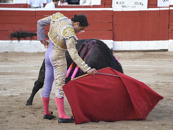 Faena en los medios