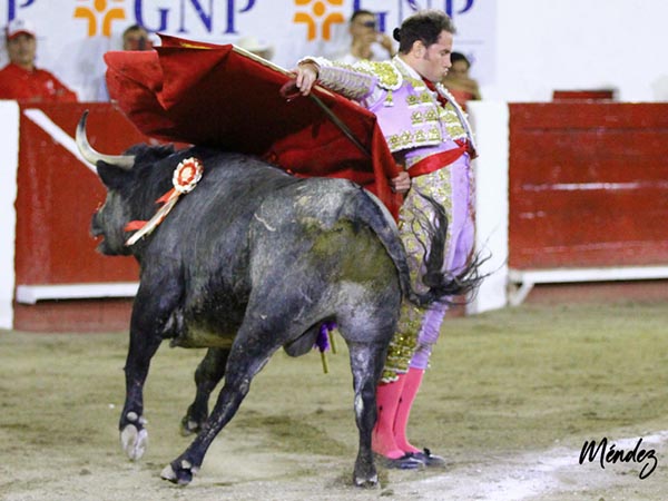 Bernadinas en el eplogo