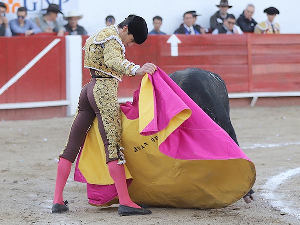 Juan Ortega a la vernica