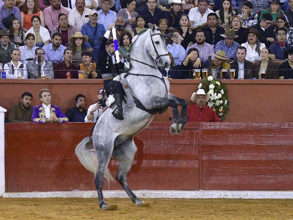 En la alzada