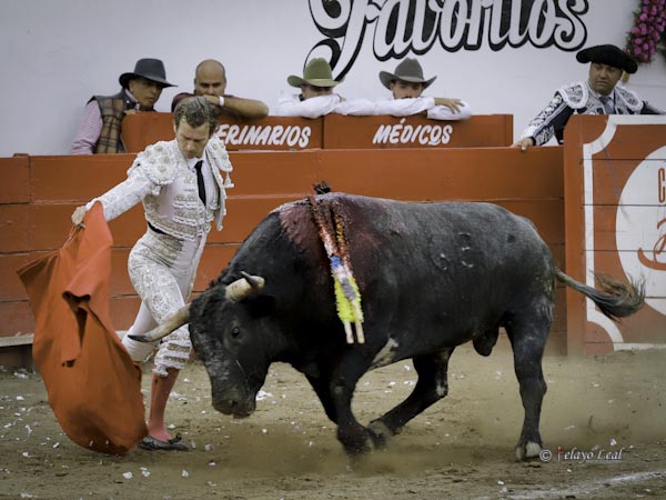 Le busc las vueltas