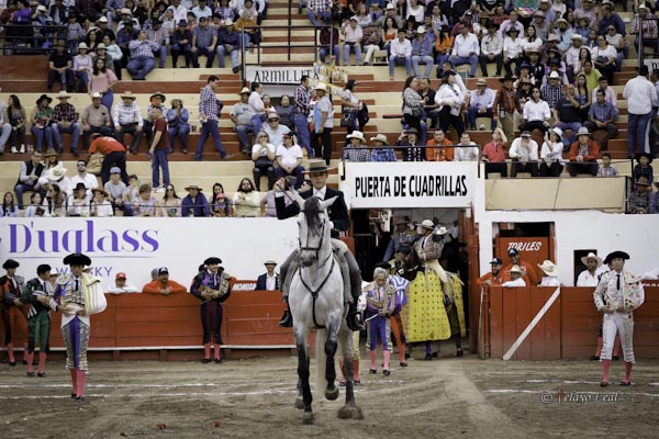 Caballista al frente