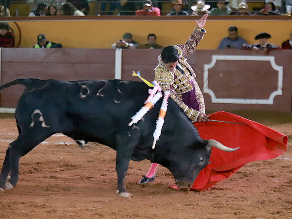 El toro permita el lucimiento