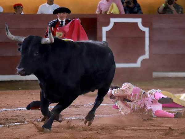 Las manos a la herida