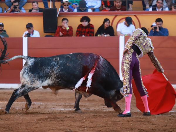 Largo y templado