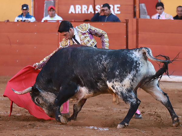 Mostrndole el camino