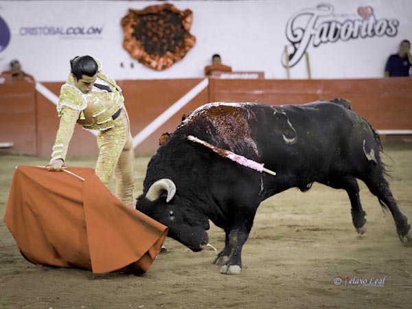 Lucido por ambos lados