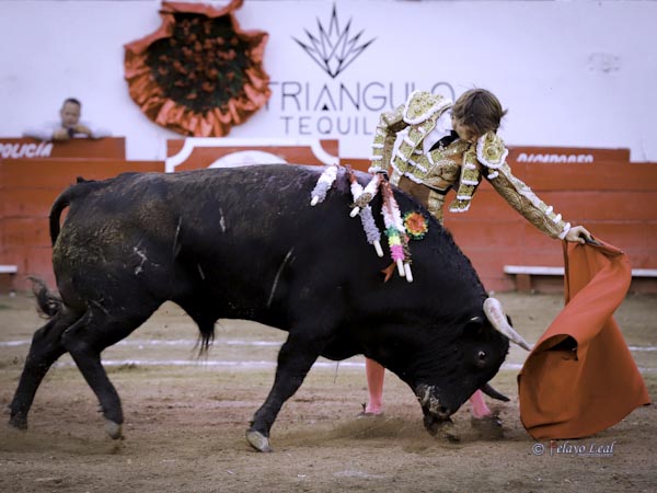 Jaleado en los naturales