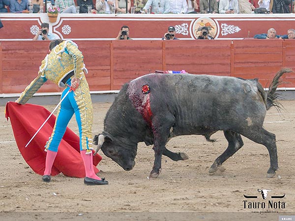 Humillado por el izquierdo