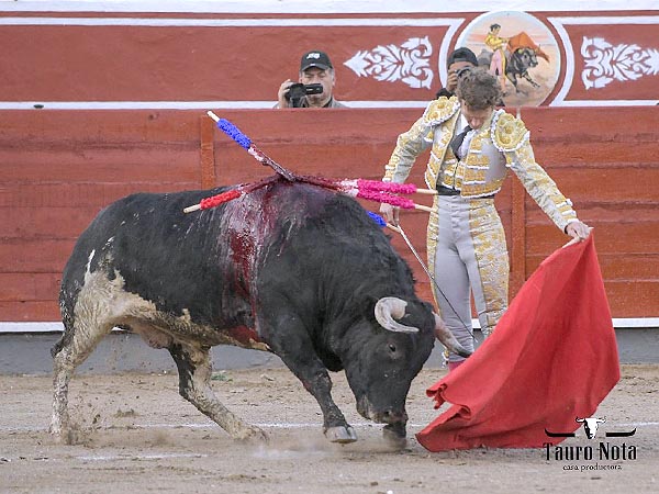 El izquierdo del calcetero