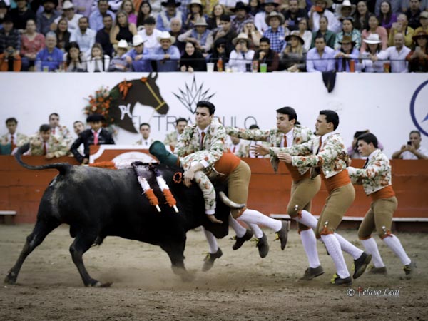 Dominado por los forcados