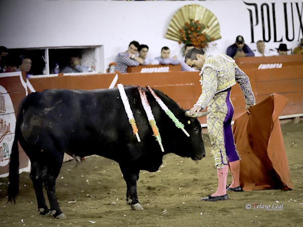 Desplante torero