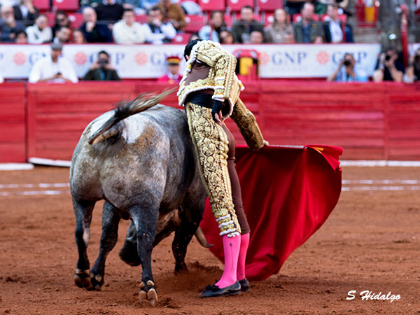 En los terrenos del toro