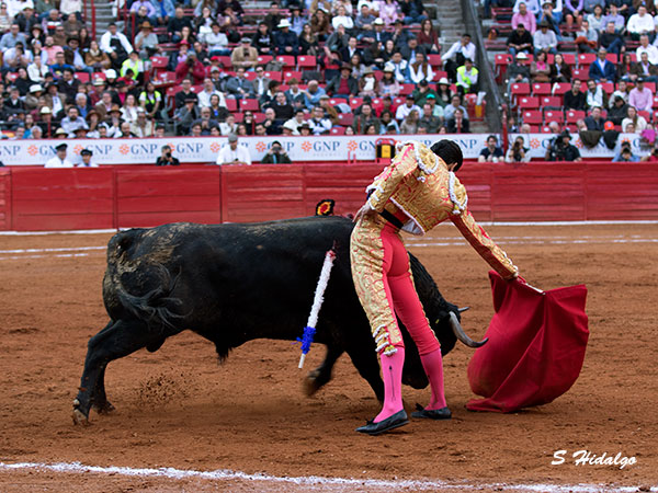 Momento anterior a la cornada