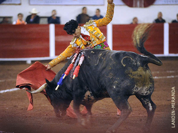 Fajn bordado a mano