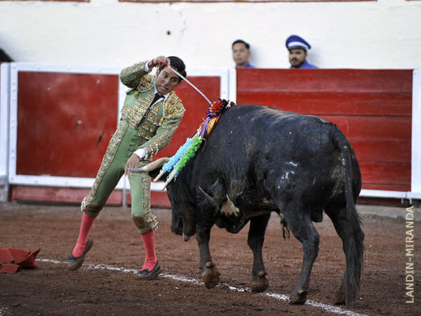 Temerario, a cuerpo limpio