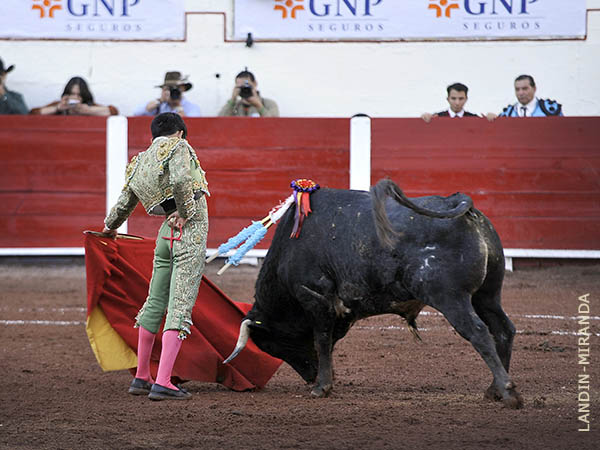 Voluntad de agradar