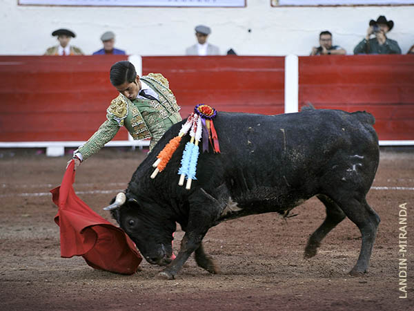 Templado, por el derecho