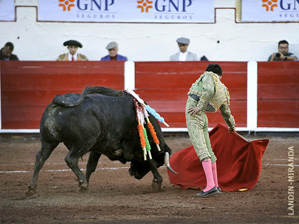 Corriendo la mano