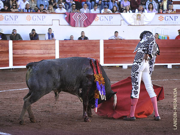 Tirando del crdeno