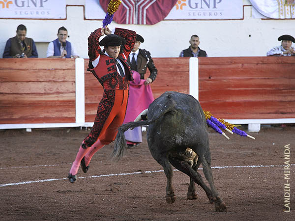 Panita, oficiando en banderillas