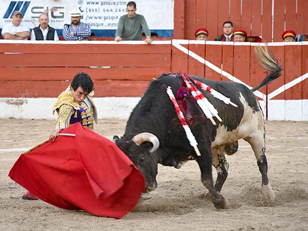 Tanda rodilla en tierra