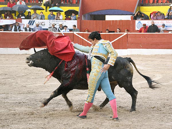 Barriendo los lomos