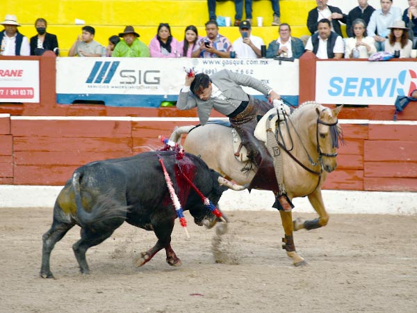 Banderilla corta