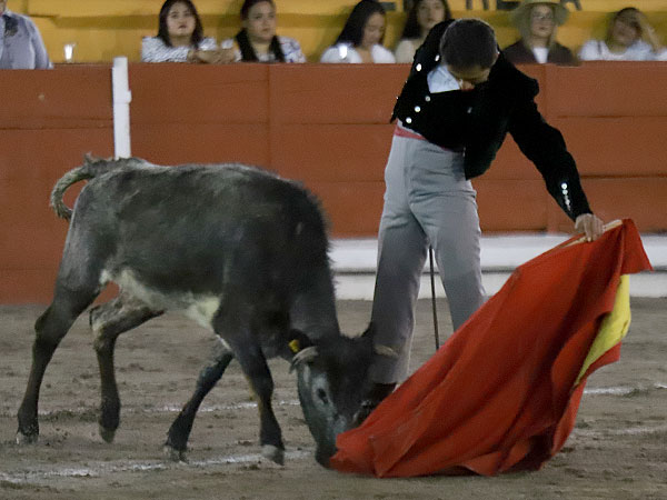 Apuntando el toreo bueno