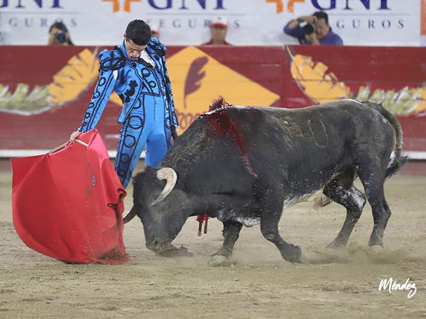 Faena de altos vuelos