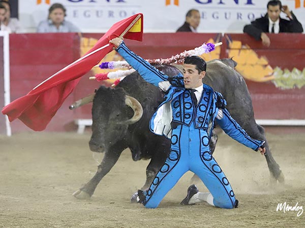 Variedad y valor