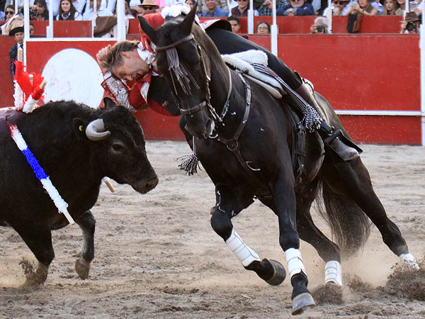 Un torero en plenitud