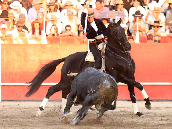 Guillermo con el de castigo