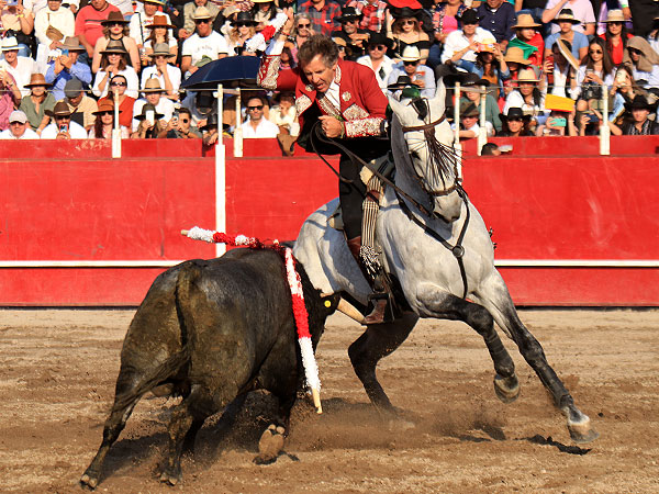 Calidad en la embestida