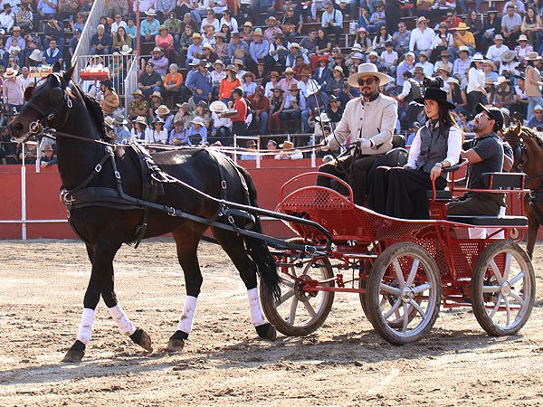 Gente de caballo