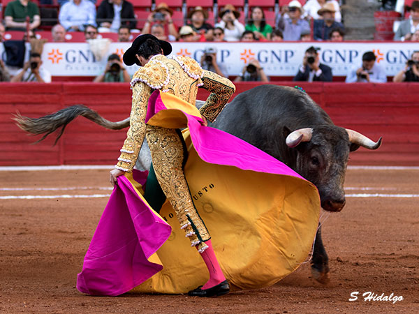 Caminndole al toro