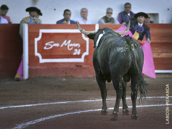 Sombrero de charro