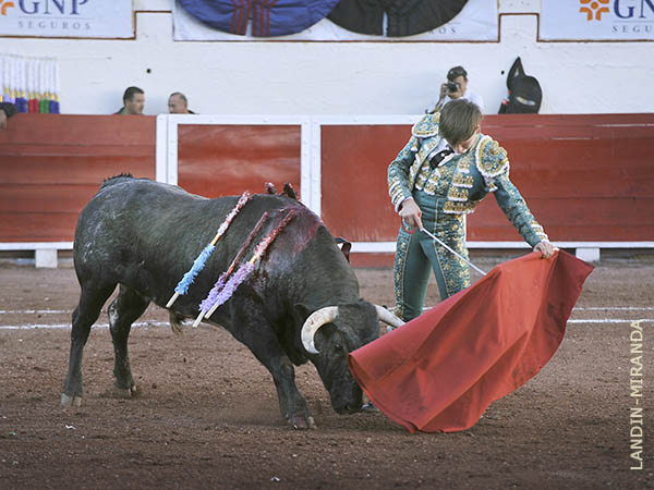 Tirando del crdeno