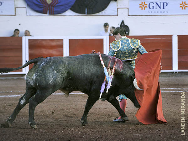 Emocin en el ruedo