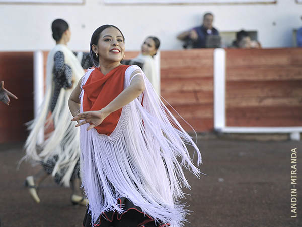 Flamenco en el prlogo