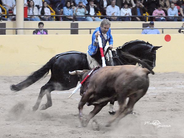 Larga, en los medios