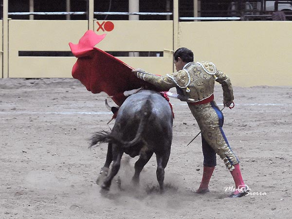 Barriendo los lomos